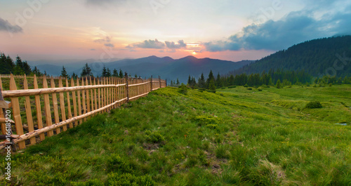 Spruce trees on lush green slope against mountain tops covered with several clouds at sunset. Diagonal line of wooden picket fence. Warm summer evening. Marmarosh range, Carpathian mountains, Ukraine