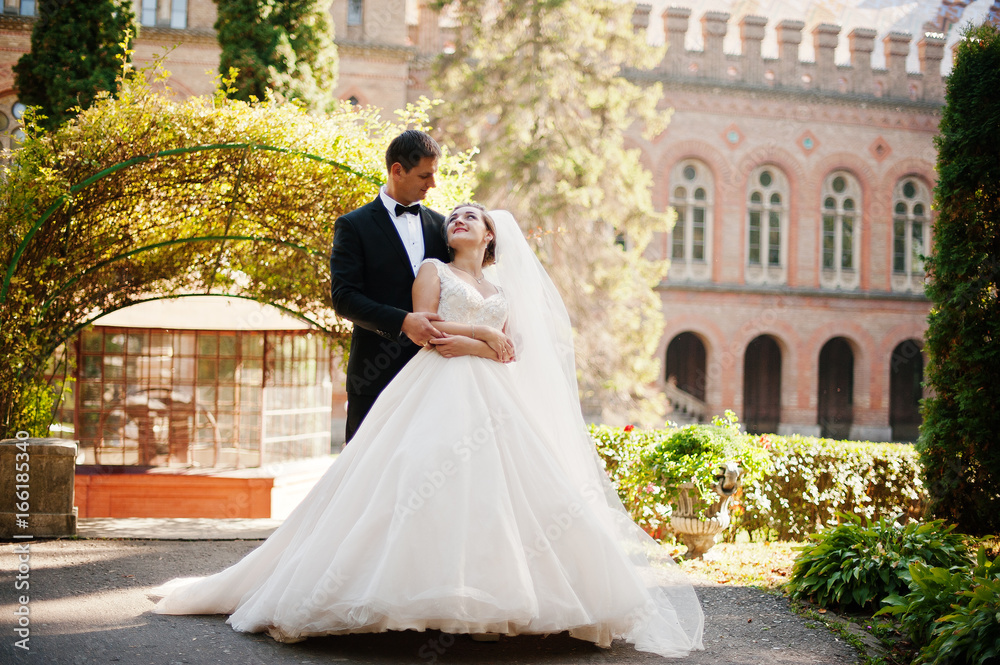 Attractive wedding couple posing in the garden of a majestic mansion. Attractive wedding couple posing in the garden of a majestic mansion.