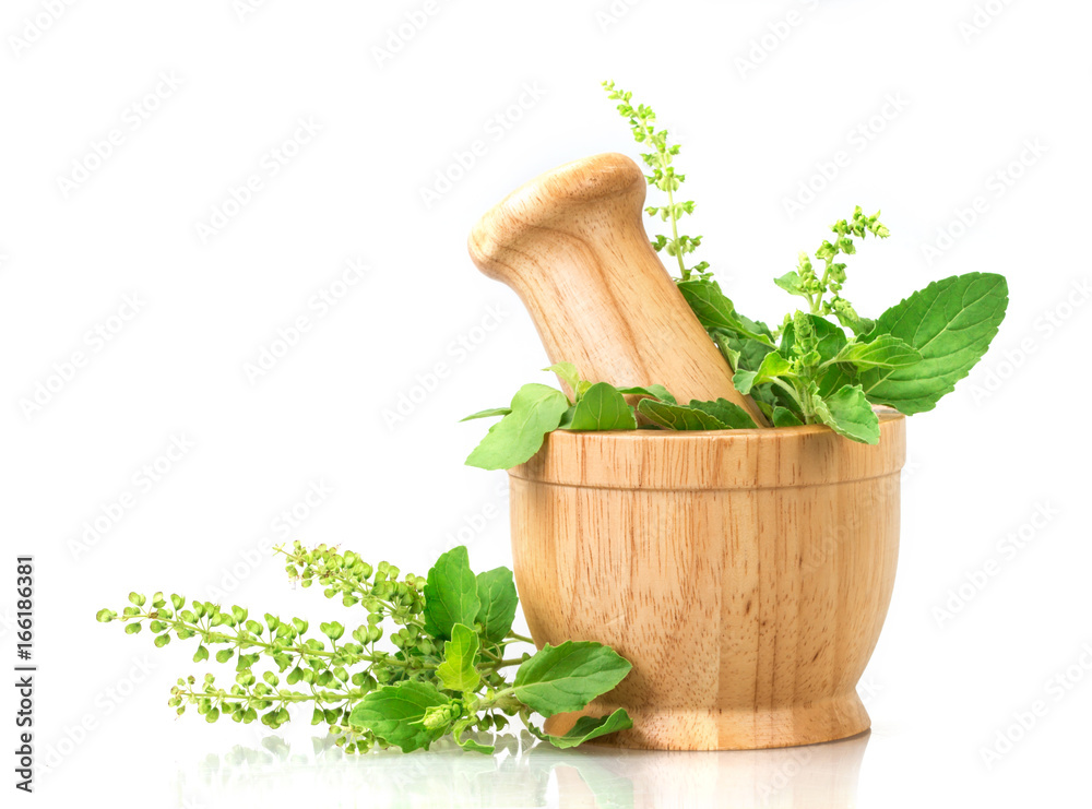 Fresh basil in wooden mortar on white background , herbal medicine concept