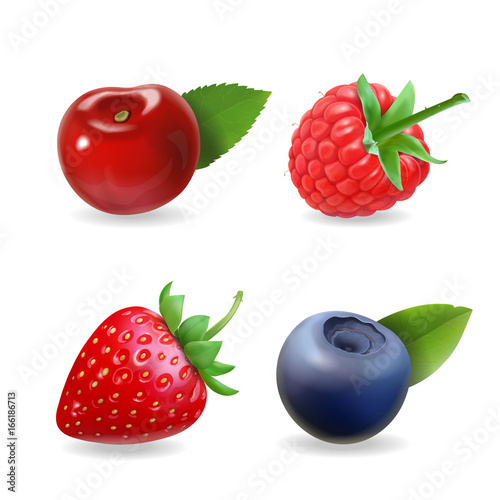 Berry set. Forest realistic sweet fruit vector icon illustration