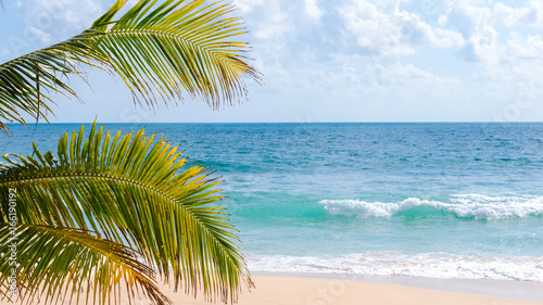 Tropical palm tree on beach and blue sky background. © tonktiti