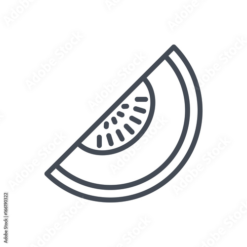 Fruits food melon line icon