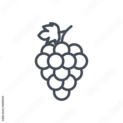 Fruits food grape line icon