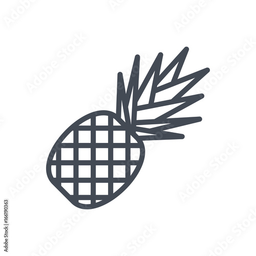 Fruits pineapple line icon