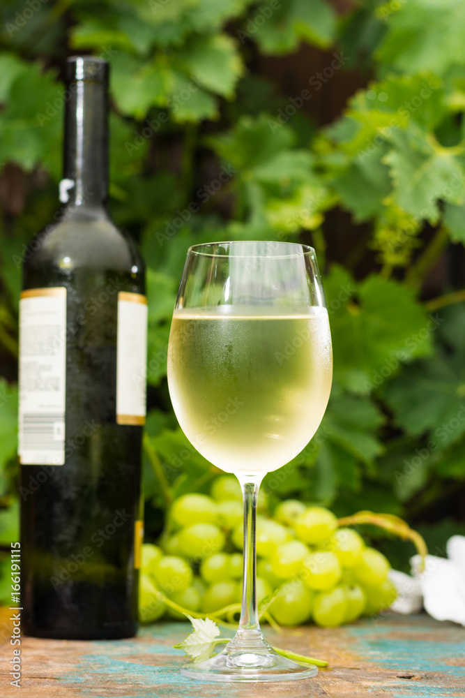 Wine bottle and wine glass with ice cold white wine, outdoor terrace, wine tasting in sunny day, green vineyard garden background.