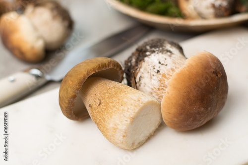 Tasty food - fresh porcini boletus oak muchrooms, high quality, ready to cook photo