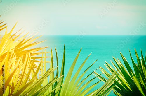 Frame of tropical green palm leaf and sun light on beach and blue sky abstract background.