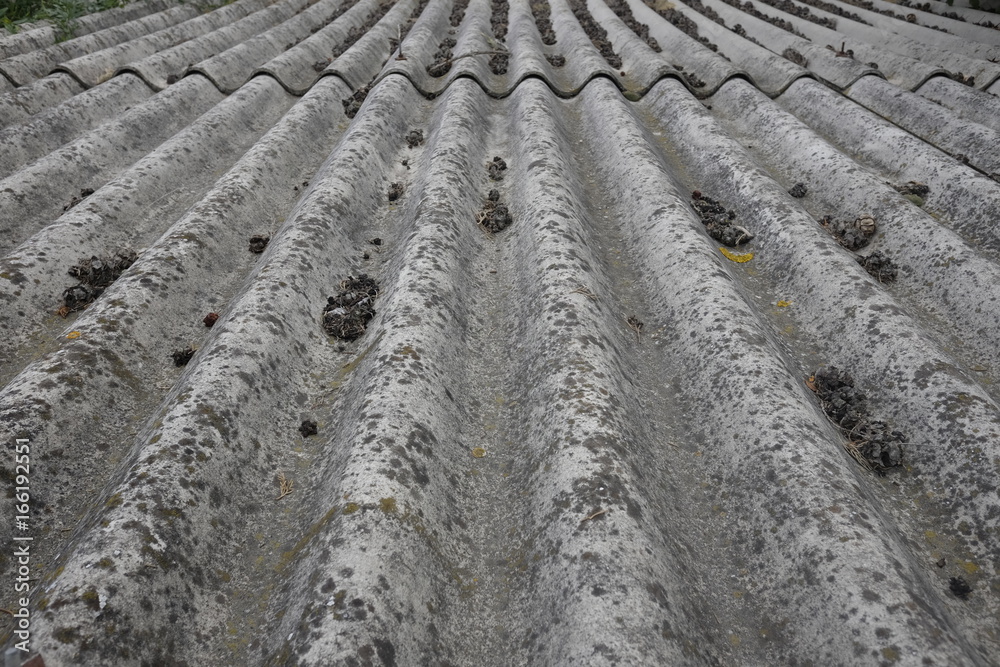 Dangerous asbestos in the city Dangerous asbestos in the city