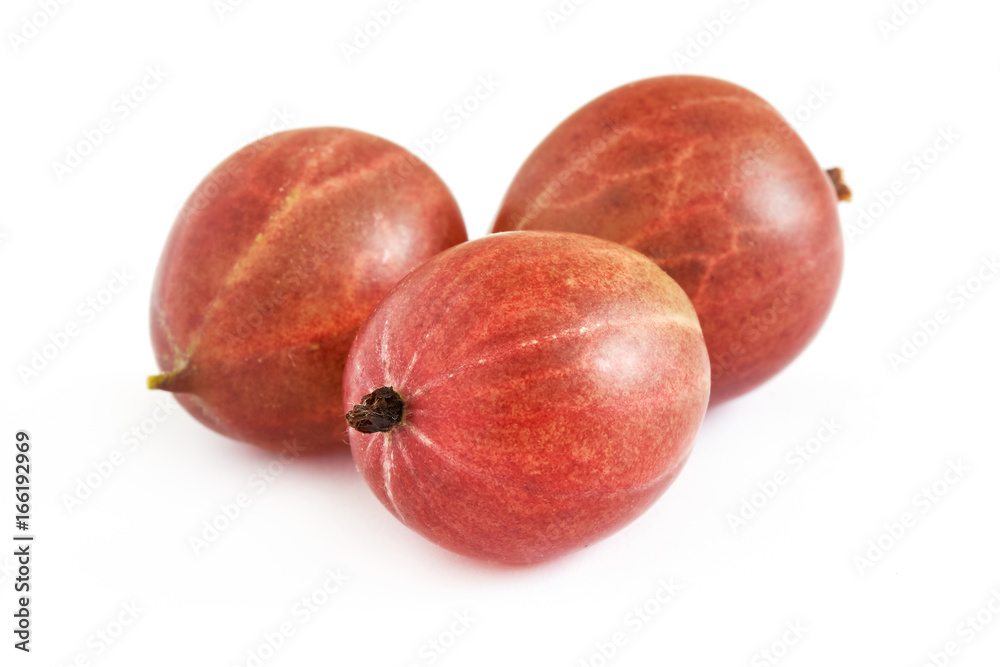 Closeup of ripe red gooseberries isolated on white background Closeup of ripe red gooseberries isolated on white background