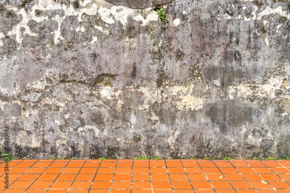 Fototapeta premium Mildewed walls