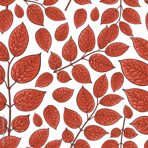 Seamless pattern of beautiful bred birch, honeysuckle leaves, twig, branches, sketch style vector illustration on white background. Hand drawn honeysuckle twig seamless pattern
