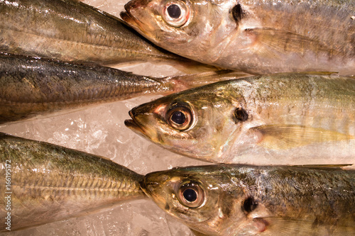 鮮魚　市場で新鮮な魚がいっぱいあった。 © cyabou