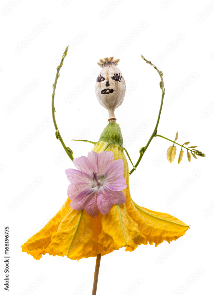 doll from poppy head and flowers isolated on white