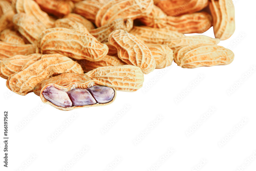 peanut group. nuts close up on white background peanut group. nuts close up on white background
