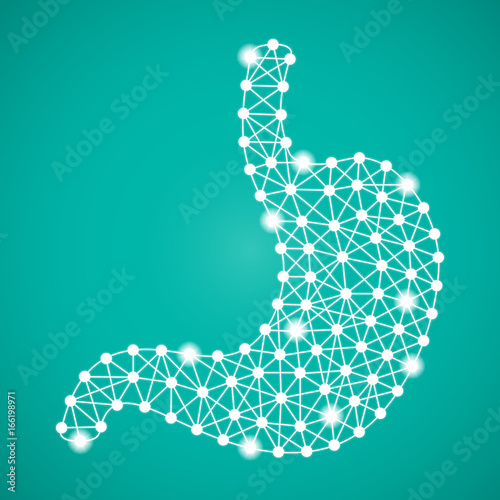 Human Stomach Isolated On A Green Background. Vector Illustration.Gastroenterology. Creative Medical Concept
