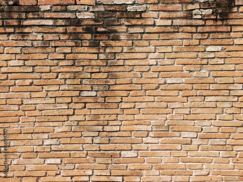 Brick wall background