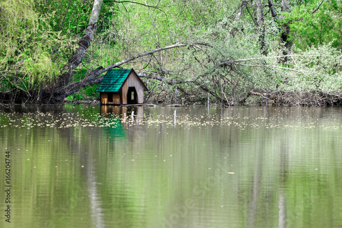 Beautiful natural landscape with a lake. 