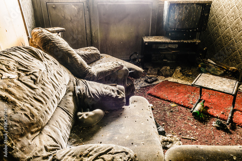 фотографія Living room sofa, furniture and carpet covered in bird droppings.