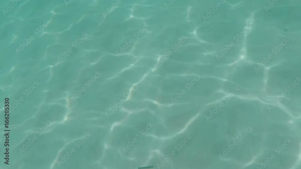 Man Swimming In Sea With Action Camera Water Point Of View Male Swimmer Man Swimming In Sea With Action Camera Water Point Of View Male Swimmer