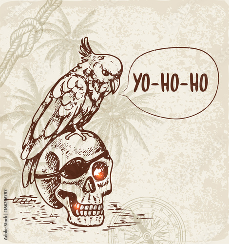 Skull and pirate parrot