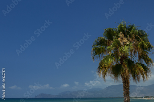 Beautiful  view on Mediterranean Sea with clean water and blue sky with clouds. Tree on  beach in summer . Background. 