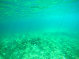 Colorful sea floor in Sardinia