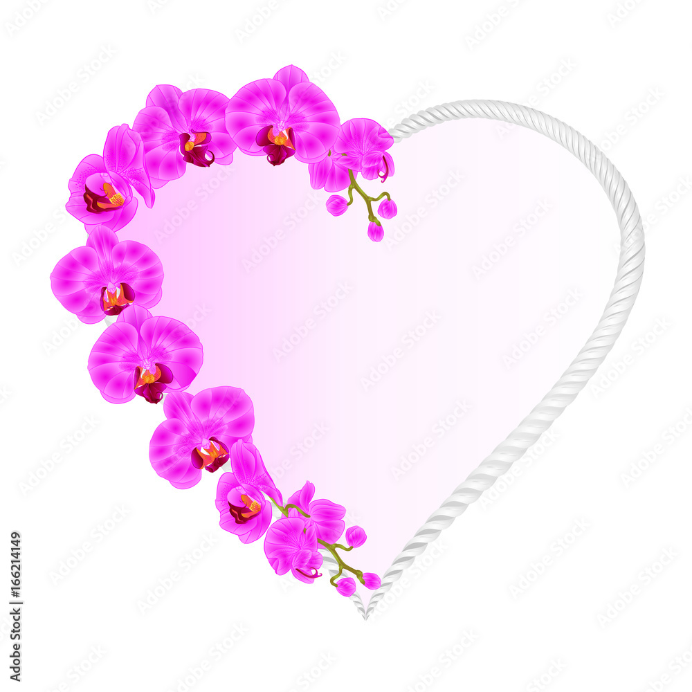 Frame Heart shaped orchid Phalaenopsis purple flowers tropical plants vintage vector botanical illustration for design editable hand draw Frame Heart shaped orchid Phalaenopsis purple flowers tropical plants vintage vector botanical illustration for design editable hand draw