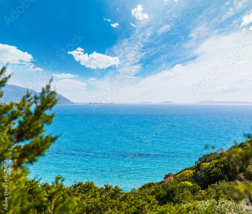 Green plants and blue sea in Sardinia