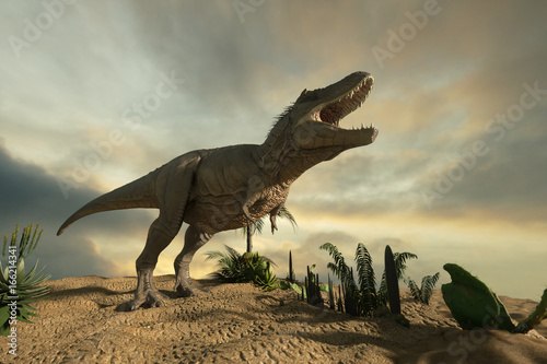 3D Illustration of silhouette of a tyrannosaur dinosaur in the sunset  render © de Art