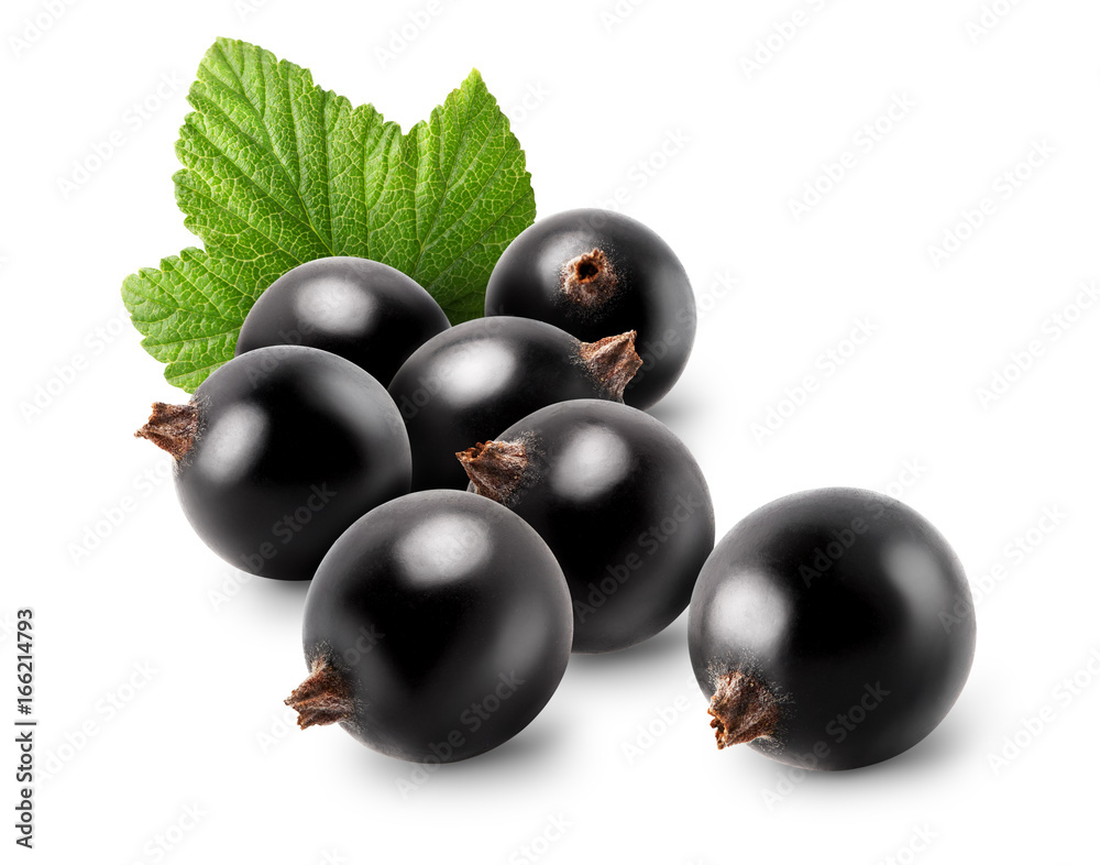 Isolated black currants. Pile of fresh black currant berries with leaf isolated on white background with clipping path Isolated black currants. Pile of fresh black currant berries with leaf isolated on white background with clipping path