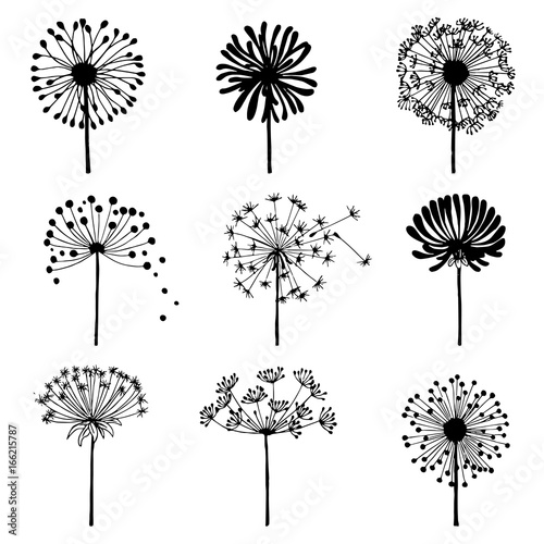Set of doodle dandelions. Decorative Elements for design, dandelions flowers blooming.