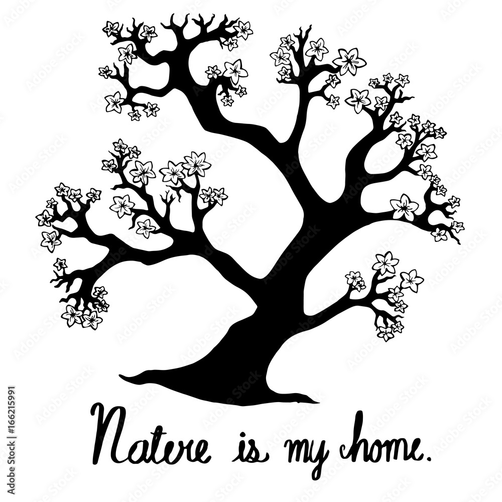 Hand drawn vector trees are hand drawing a doodle style. Nature is my home.