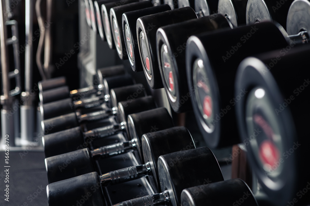 Weight Training Equipment Weight Training Equipment