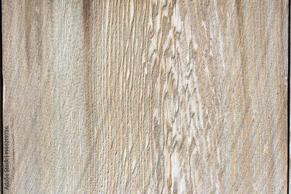 Fototapeta premium closeup cedar wood with beautiful pattern