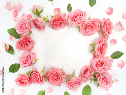 Framework from roses on white background. Flat lay, top view