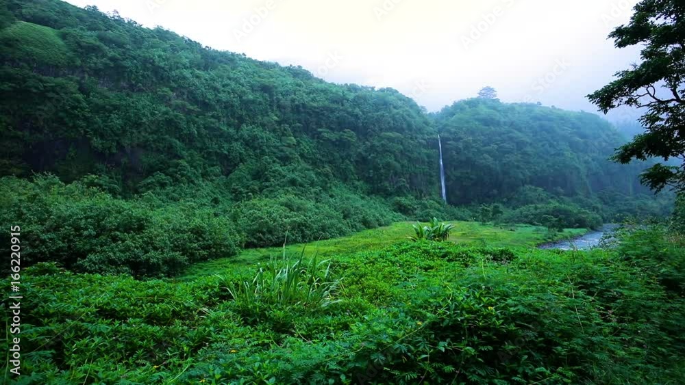 chute d'eau dans la jungle tropicale