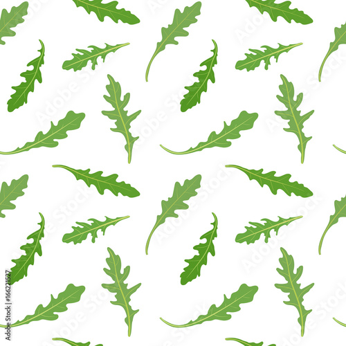 Seamless pattern with fresh green leaves of rucola (arugula, rocket salad). Vector seamless pattern, hand drawn illustration. Rocket salad background.