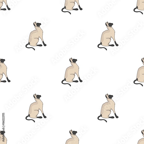Siamese icon in cartoon style isolated on white background. Cat breeds symbol stock vector illustration.