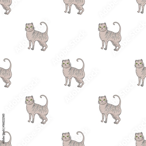 British Shorthair icon in cartoon style isolated on white background. Cat breeds symbol stock vector illustration.