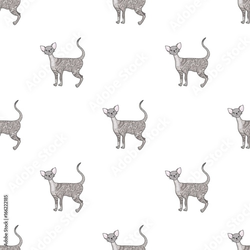 Cornish Rex icon in cartoon style isolated on white background. Cat breeds symbol stock vector illustration.