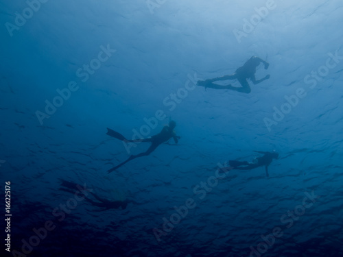Free divers in blue water