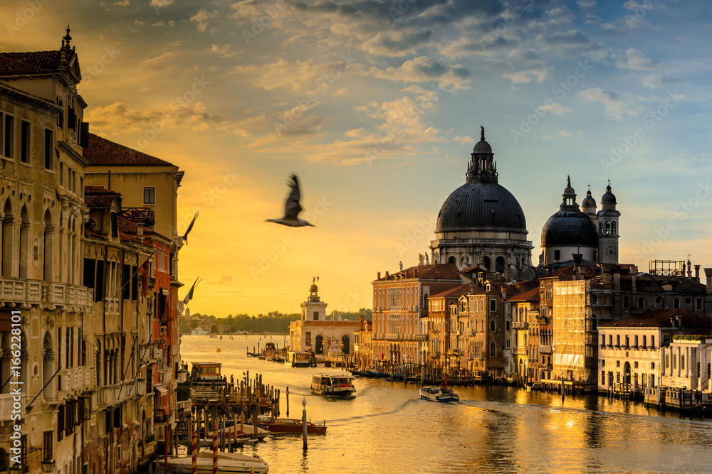 Fototapeta premium Ein Vogel fliegt während des Sonnenaufgangs an der ponte dell'accademia vorbei