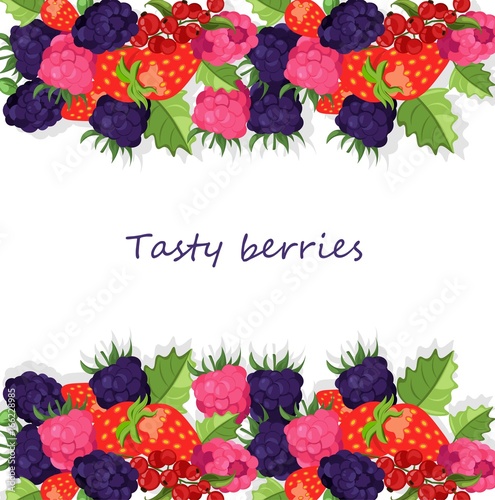 Blackberries background Vector illustration banner template