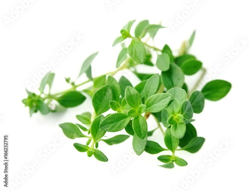 Thyme fresh herb .