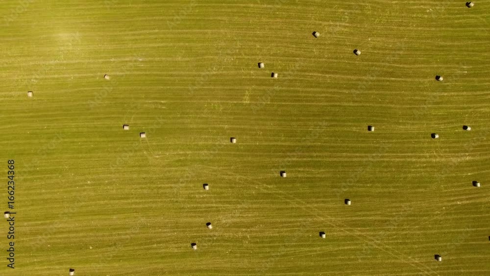 Field with haystacks in rural landscape, top view Field with haystacks in rural landscape, top view