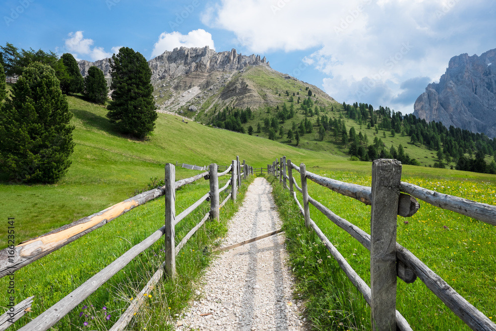 Sentiero di montagna con staccionata di legno Stock Photo | Adobe Stock