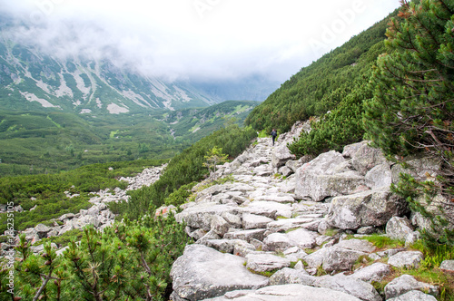 Górska ścieżka z głazów. photo