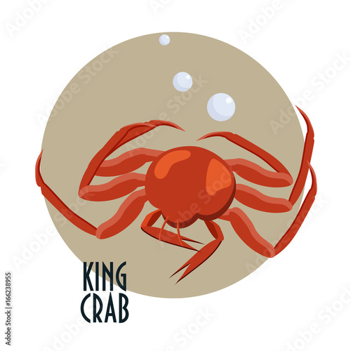 King crab vector icon. Steamed or boil crab.