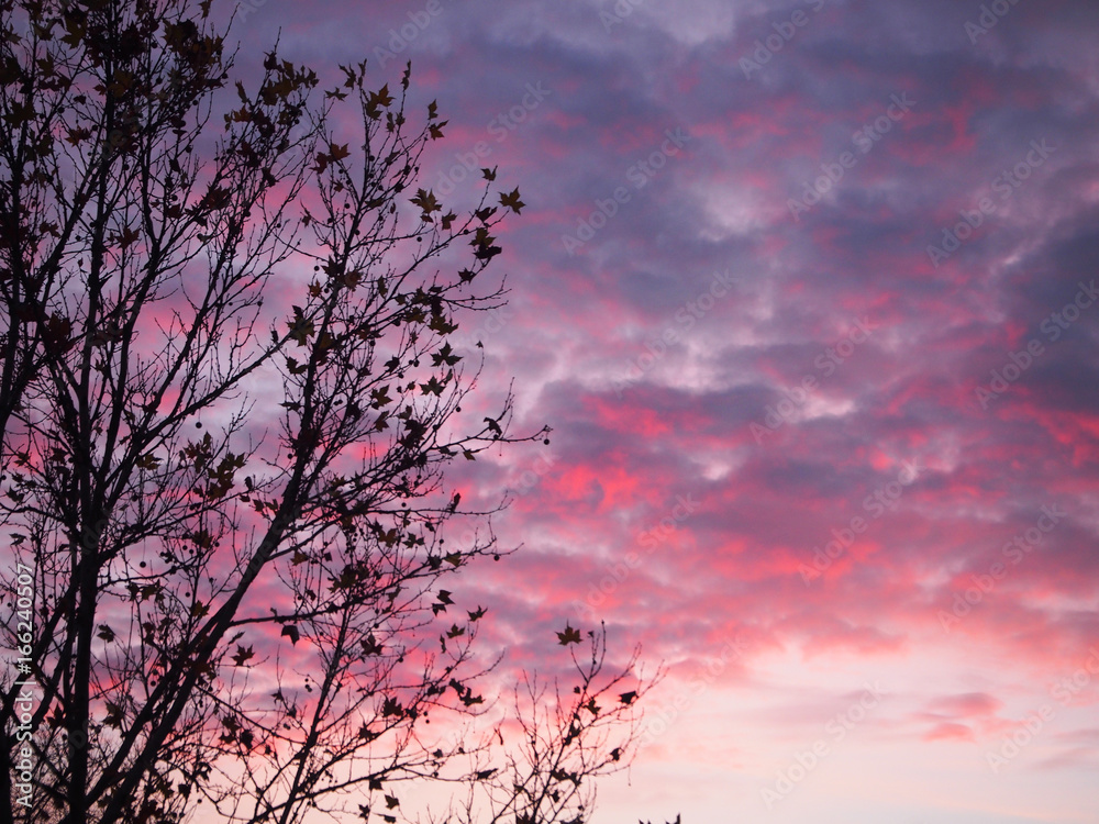 Fototapeta premium Autumn sunset