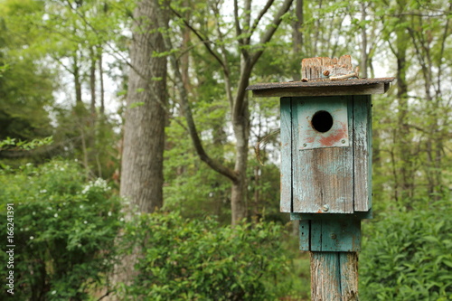 Old Rustic wooden vintage bird house feeder in forest woods
